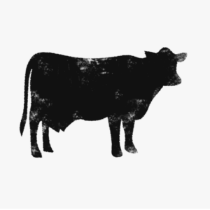 Grass Fed / Grass Finished Beef Share