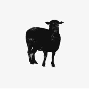 Lamb Share