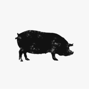 Berkshire Pork Share