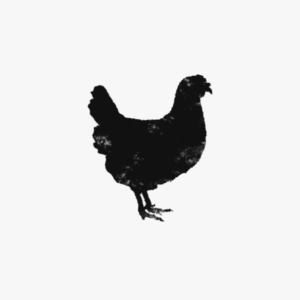 Antibiotic Free Chicken Share