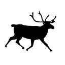 Elk
